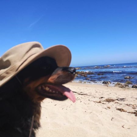 Departamento En Playa Las Cadenas 알가로보 외부 사진